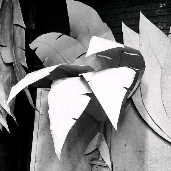 Meet your Posher, Amanda - Picture 1 of 1